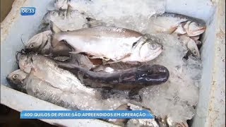 400 kg de peixes são apreendidos em operação do Ibama no Pará [upl. by Ymmaj]