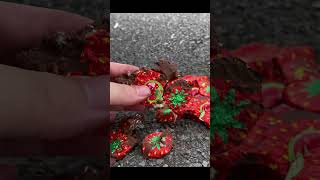 Crushing Crunchy amp Soft Things by Car EXPERIMENT car vs toy shorts [upl. by Hermosa775]