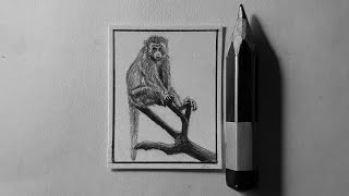 Monkey Miniature Sketch  Realistic Drawing [upl. by Enitsenrae]