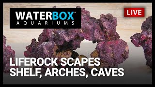 Episode 52 LifeRock  Shelf Arches Caves and More [upl. by Flem]