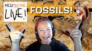 Fossil and Deathplate MICROZONE Friday Night LIVE [upl. by Holds]