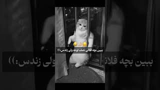 حق🤦🏼‍♀️😂😂 likesharesubscribe [upl. by Smiley]