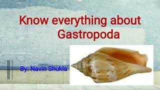 GastropodaGastropoda geology [upl. by Peppel447]