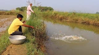 Fishing Video  The old grandfather knows many tricks of fishing in the village canal [upl. by Erine256]