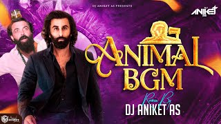 Ranbir Kapoor Entry Song  Animal BGM  Animal Mass BGM  Dj Aniket AS  Sandeep Reddy Vanga [upl. by Aneek820]