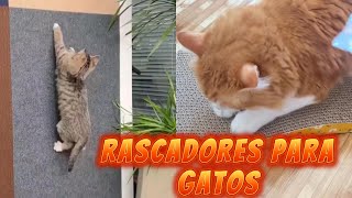 😻TOP 5 mejores Rascadores para Gatos BARATOS de Aliexpress 2024🐱CalidadPrecioRascador para gato [upl. by Yetsirhc]