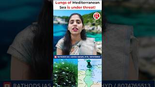 Lungs of the Mediterranean Sea Posidonia Oceanica Under Threatmedeteraniansea rathodsias upsc [upl. by Elletnahs368]