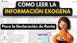 Cómo LEER La INFORMACION EXOGENA de la DIAN  Para Declarar Renta [upl. by Reffotsirk]