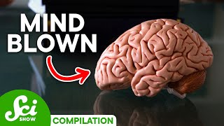 5 Brain Facts That Will Blow Your Mind [upl. by Ahseet418]