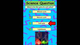 GCSE Science Question Can You Solve This [upl. by Enrahs625]