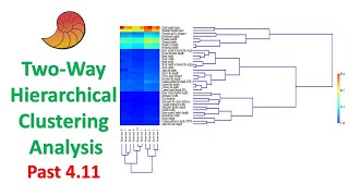 TwoWay Hierarchical Clustering Analysis  Multivariate Analysis  Past 411 [upl. by Ahscrop]