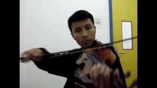 The Corrs  The Minstrel Boy Violin Cover [upl. by Germano]