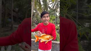 মাছ 🐟 চুরির VLOG 😂  minivlog banglavlog [upl. by Yar95]