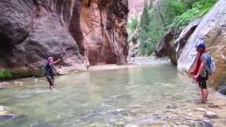 Mystery Canyon Zion Full Adventure [upl. by Fitzhugh]