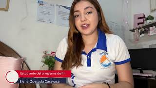 Programa Delfín Estudiantes Verano 2024 [upl. by Kallick]