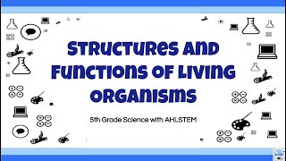 5th Grade Science EOG Review Structures and Functions of Living Organisms [upl. by Nosle692]