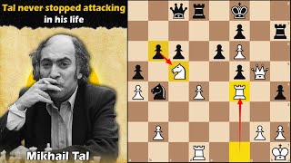 Tal never stopped attacking in his life  Tal vs Golombek 1958 [upl. by Thorny625]