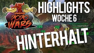 Highlights der ersten Kämpfe  Spandauer DodoWars Highlights der Woche 6  Team angehende Glatze [upl. by Karen344]