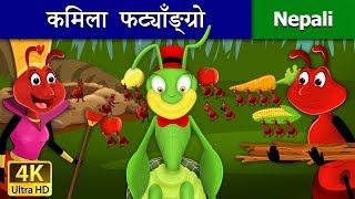 कमिला फट्याँङ्ग्रो  The Ant and The Grasshopper in Nepali  Nepali Fairy Tales  Wings Music Nepal [upl. by Zaraf]