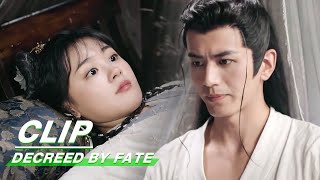 Clip Rong Er Pressed On Ting Xiao  Decreed by Fate EP03  千金难逃  iQiyi [upl. by Imhskal]