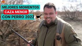 😁🎉MEJORES MOMENTOS CAZA MENOR CON PERRO Temporada 20212022🐕 [upl. by Enneite744]