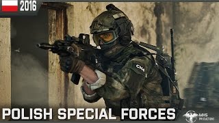 Polish Special Forces  quotUnited We Conquerquot [upl. by Aicek404]