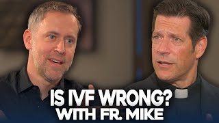 IVF What is the problem  Fr Mike Schmitz [upl. by Ahtanoj]