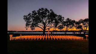 Devonport Field of Remembrance laying out the crosses for Anzac Day 2024 [upl. by Minny99]