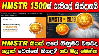 Hamster Coin New Price Perdiction  Hamster Kombat Airdrop Coin Vesting And Seed Bot Update Sinhala [upl. by Lenni]