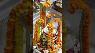 shortsvideo shiv bhajan trending video tandav viralvideo virelshort video viralreels youtube [upl. by Hafirahs597]