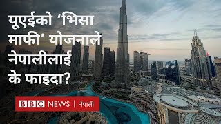 UAE visa amnesty 2024 यूएईको नयाँ योजनाबाट नेपाली कामदारले कसरी फाइदा लिन सक्छन्  BBC Nepali Sewa [upl. by Repard]