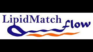 LipidMatch Flow V 10 Tutorial 4 Interpreting Results [upl. by Lundin]