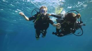 Atlantis Divers  O melhor mergulho de Noronha [upl. by Cavill]