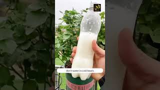 Watering plants tips youtubeshorts gardening shorts viral [upl. by Aniram]