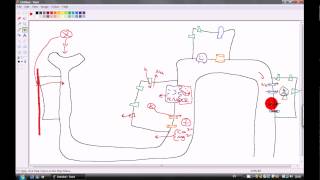 Laymans Terms Diuretics mechanism of actions [upl. by Swirsky]