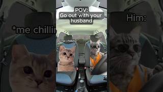 CAT MEMES 🐱 Go out with your husband catmemes carride relationship [upl. by Rory]