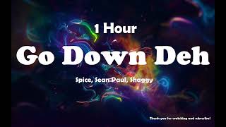 Spice Sean Paul Shaggy  Go Down Deh  1 Hour [upl. by Samalla]