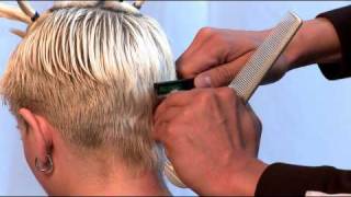 Razor Cut Haircut using Donald Scott Carving Comb DSX4 Razor and Twist Razor Demonstrations [upl. by Macpherson438]