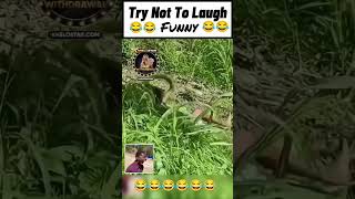 Try To Not Laugh 😂😂😂😂😂😂😂😂😂😂😂😂😂😂funny comedyfilms comedymovies funnycomedy cneᴅɪᴛᴢ † [upl. by Euhc]