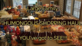 Large family WE ARE OUT OF FOOD HUMONGOUS SHOPPING HAUL YOU GOT TO SEE IT [upl. by Arundel423]