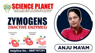 Zymogens Inactive Enzymes Explain by Anju Mam of Science Planet [upl. by Kai]