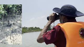 Pemberdayaan Pengelola Mangrove Melalui Eduwisata untuk Keberlanjutan Mangrove Edupark Pulau Cisiu [upl. by Sandra]