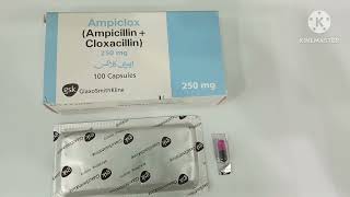 Ampiclox 250mg Capsule Uses in Urdu Ampiclox 500mg Capsule Uses Ampiclox Capsule 250mg Ampicillin [upl. by Lajet]