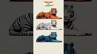 Tiger 🐯 Art 🇮🇳 Indian Flag art 🇮🇳 Independence day special art art shorts short tiger [upl. by Janus]