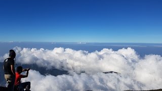 MT HALCON SIALDANG Every Mountaineers Dream Climb [upl. by Yesnil]