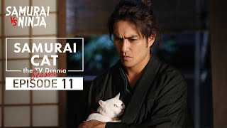 Samurai Cat Full Episode 11  SAMURAI VS NINJA  English Sub [upl. by Roskes]