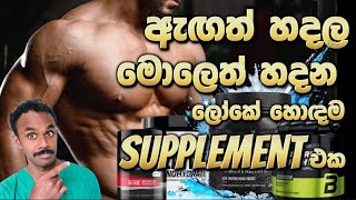 අතේ ගානට ලස්සනට ඇඟ හදන්න ගන්න හොඳම Supplement එක  Everything you need to Know about Creatine [upl. by Notselrahc]