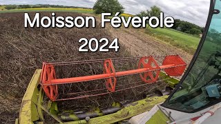 Moisson des féveroles 2024 [upl. by Attiuqihc]