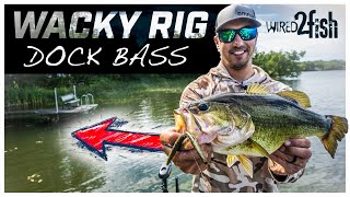 How to Wacky Rig Boat Docks for Summer Bass [upl. by Airak]