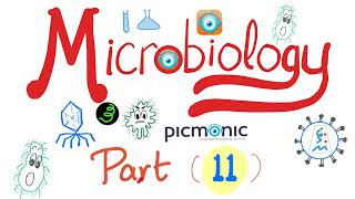 Microbiology with Picmonic  Shigella EHEC HUS Yersinia enterocolitica amp pestis  Part 11 [upl. by Kerstin]